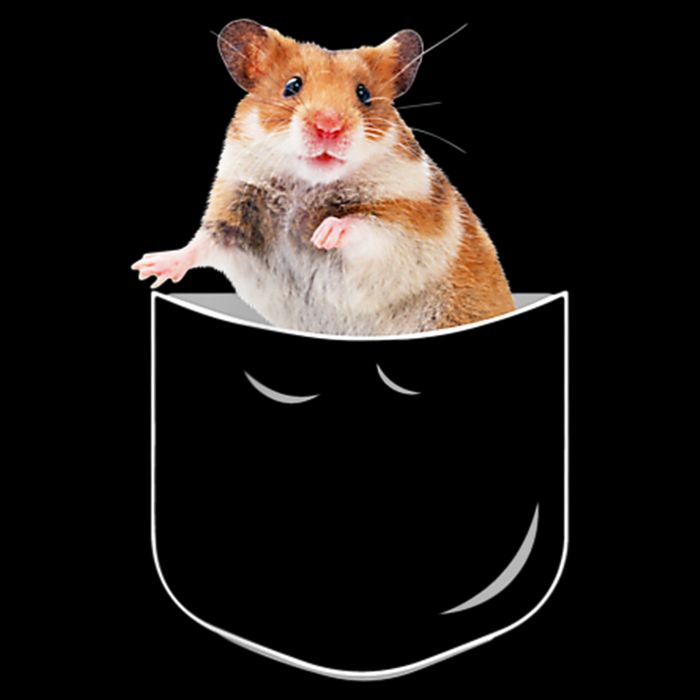 Pocket Hamster Shirt, Funny Hamster In Pocket Gift Tshirt TShirt Flatbill Hat