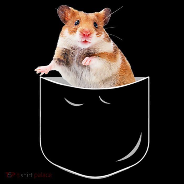 Pocket Hamster Shirt, Funny Hamster In Pocket Gift Tshirt TShirt Premium T-Shirt