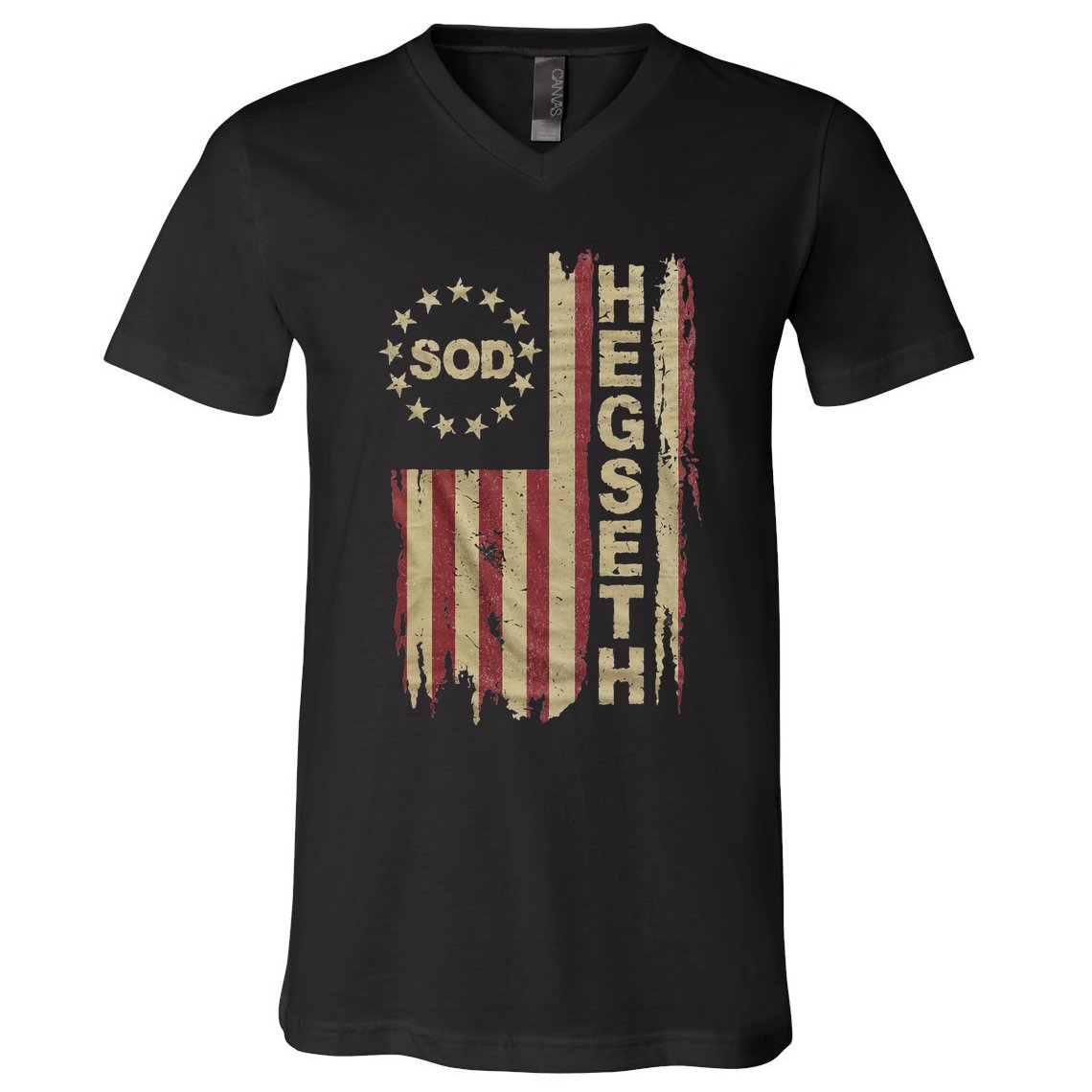Pete Hegseth Secretary Of Defense V-Neck T-Shirt