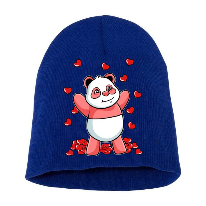 Panda Heart Valentines Day Cute Bear Animal Love Gift Short Acrylic Beanie