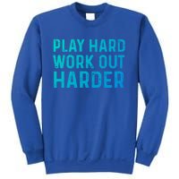 Play Hard Work Out Harder Standard Meaningful Gift Funny Gift Sweatshirt