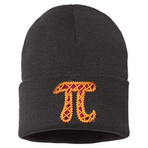 Pi Day Delicious Pie Sustainable Knit Beanie