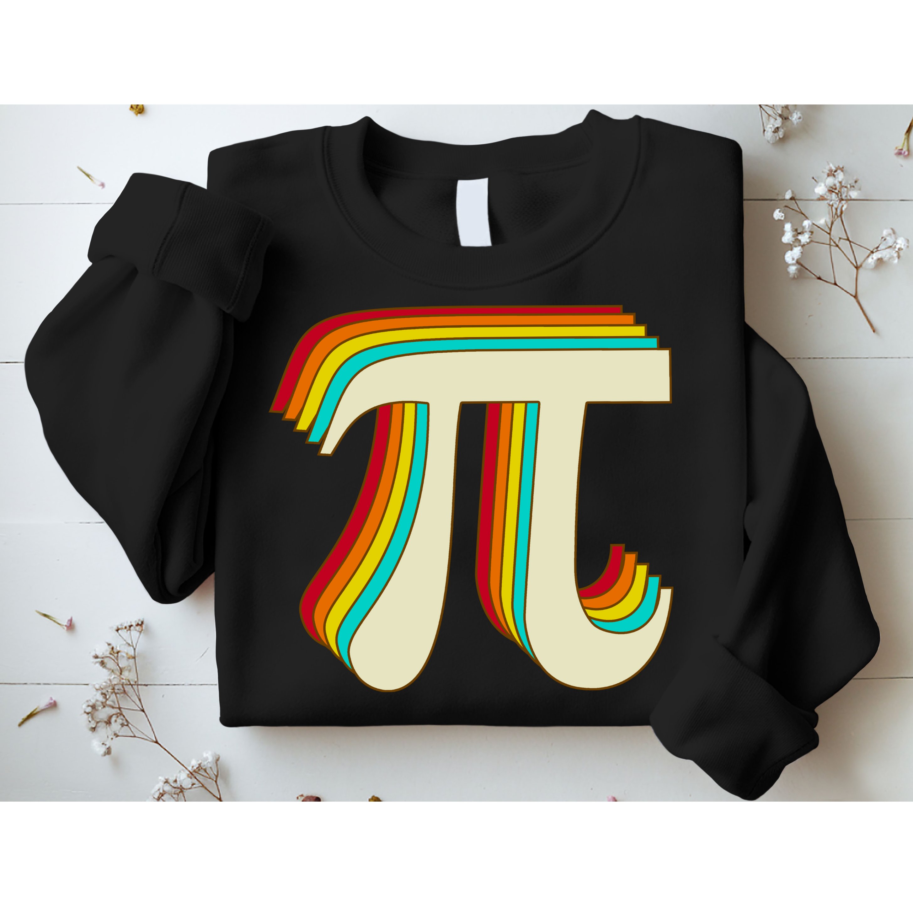 Pi Day Retro Sweatshirt
