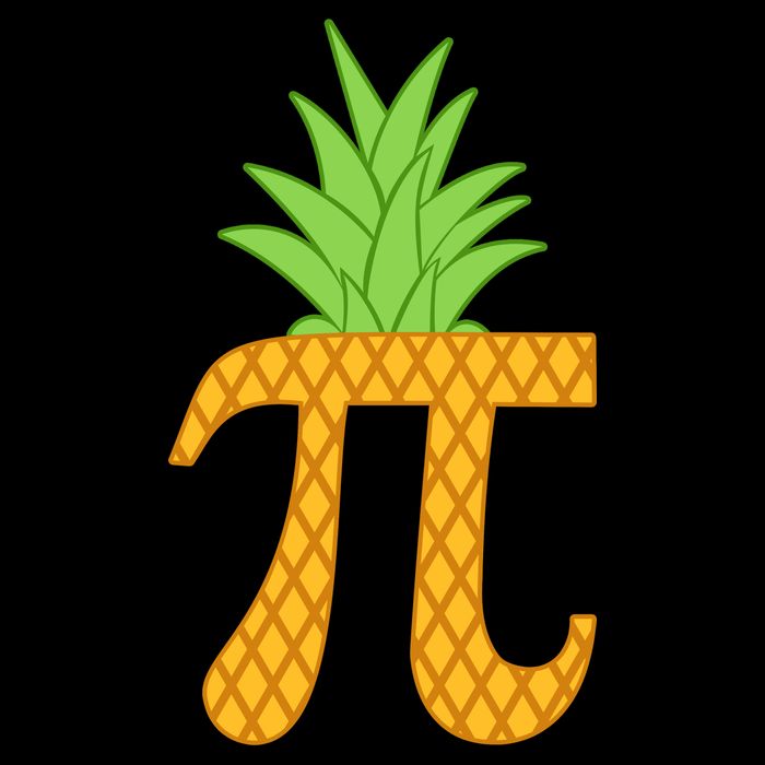 Pi-neapple Premium T-Shirt