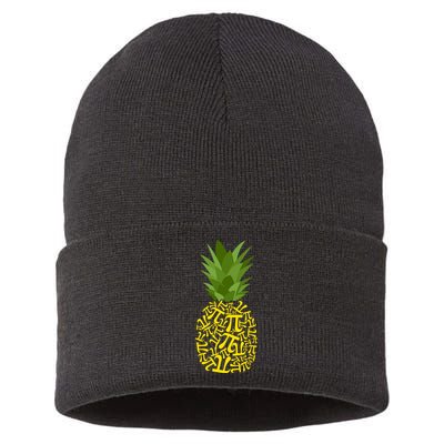 Pi-neapple Pi Day Sustainable Knit Beanie