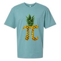 Pi-neapple Pineapple Pi Day Sueded Cloud Jersey T-Shirt
