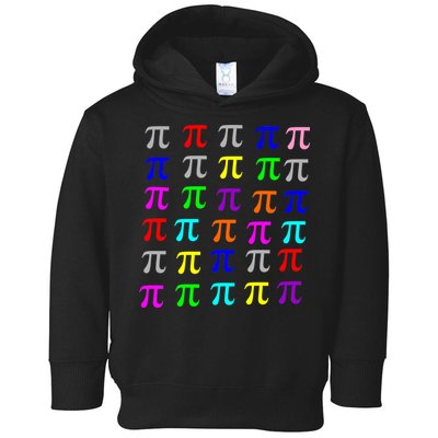 Pi Plaid Rainbow Pride Pi Day Collage Toddler Hoodie