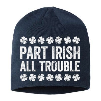 Part Irish All Trouble Funny St Patrick's Day Sustainable Beanie