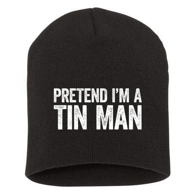 Pretend IM A Tin Man Adult Costume Short Acrylic Beanie