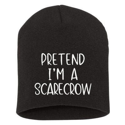 Pretend IM A Scarecrow Costume Halloween Lazy Quick Funny Short Acrylic Beanie