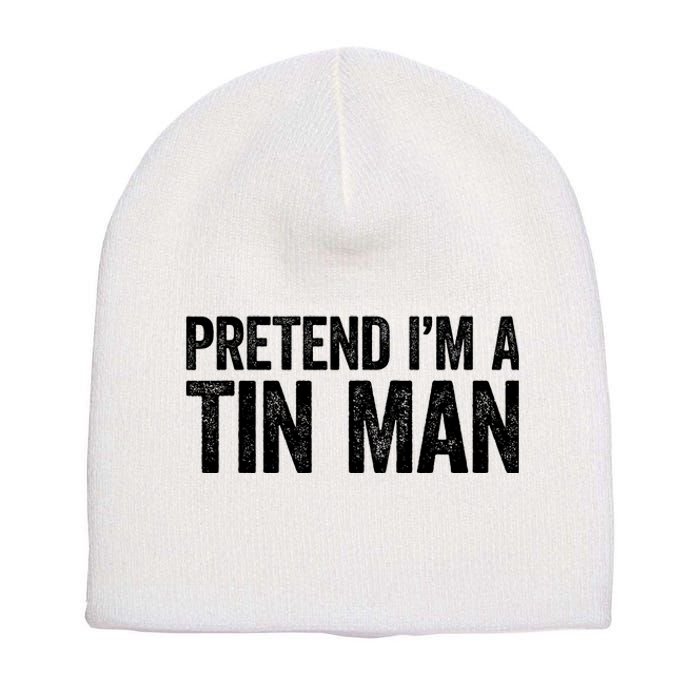 Pretend IM A Tin Man Adult Costume Short Acrylic Beanie