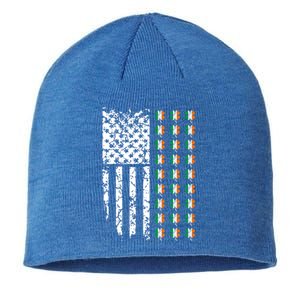 Patriotic Irish American Flag Great Gift Sustainable Beanie