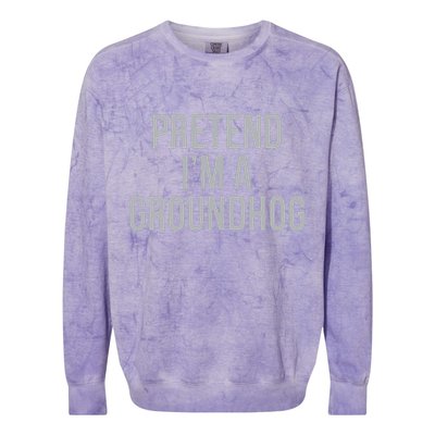 Pretend Im A Groundhog Lazy Halloween Costume Colorblast Crewneck Sweatshirt