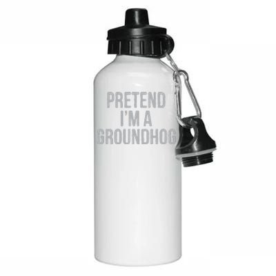 Pretend Im A Groundhog Lazy Halloween Costume Aluminum Water Bottle 