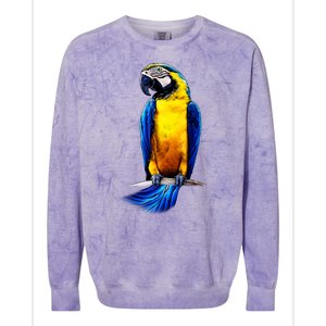 Parrot In Clouds Colorblast Crewneck Sweatshirt