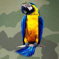 Parrot In Clouds Legacy Tie Dye Trucker Hat