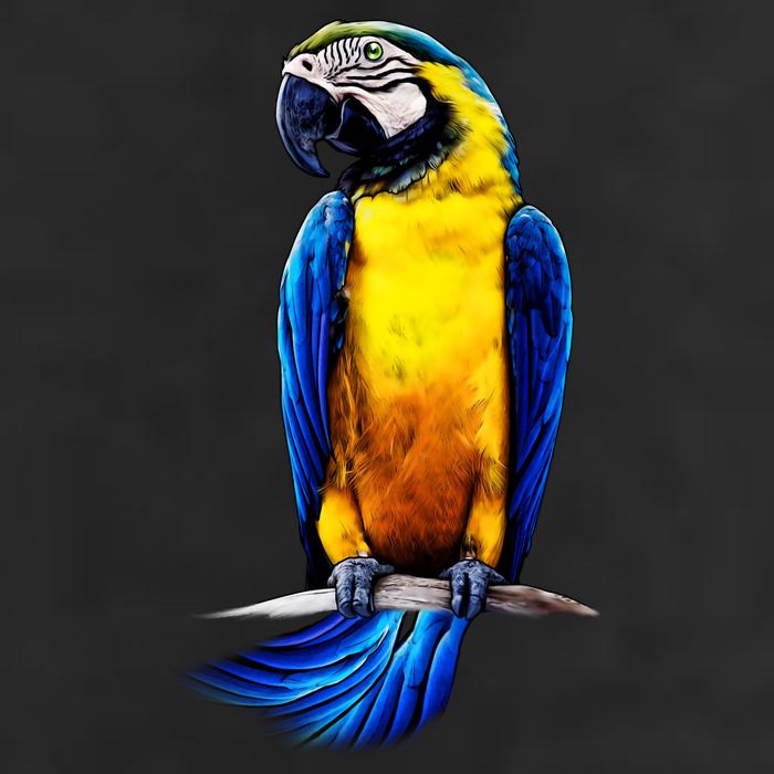 Parrot In Clouds Garment-Dyed Fleece Hoodie