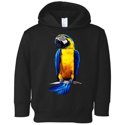 Parrot In Clouds Toddler Hoodie