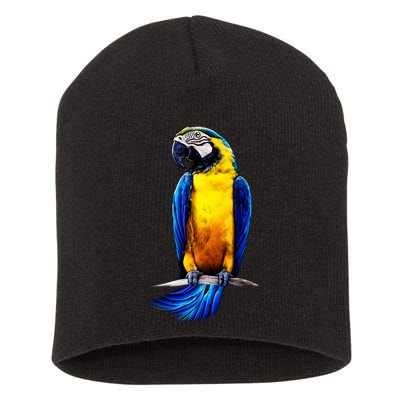 Parrot In Clouds Short Acrylic Beanie