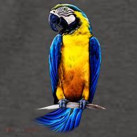 Parrot In Clouds Vector Backpack