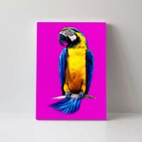 Parrot In Clouds Canvas