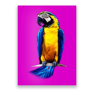 Parrot In Clouds Poster