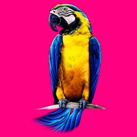 Parrot In Clouds Tie-Dye T-Shirt
