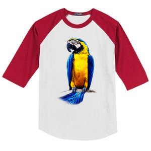 Parrot In Clouds Kids Colorblock Raglan Jersey