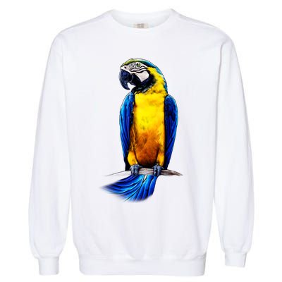 Parrot In Clouds Garment-Dyed Sweatshirt