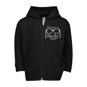 Picture It Sicily 1922 Toddler Zip Fleece Hoodie