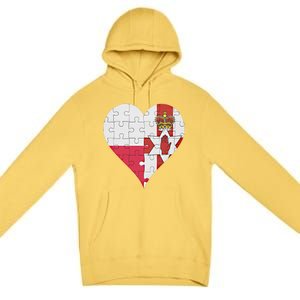 Polish Irish Flag Heart Funny Gift Premium Pullover Hoodie