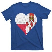 Polish Irish Flag Heart Funny Gift T-Shirt