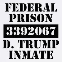 Prison Inmate Federal Prison 3392067 Trump Halloween Wool Snapback Cap