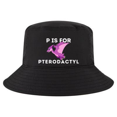 P Is For Pterodactyl Dinosaur Word Play Cool Comfort Performance Bucket Hat