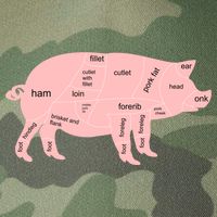 Pig Pork Bacon Chart Legacy Tie Dye Trucker Hat