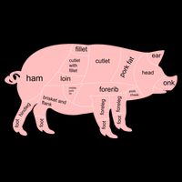 Pig Pork Bacon Chart Flatbill Hat