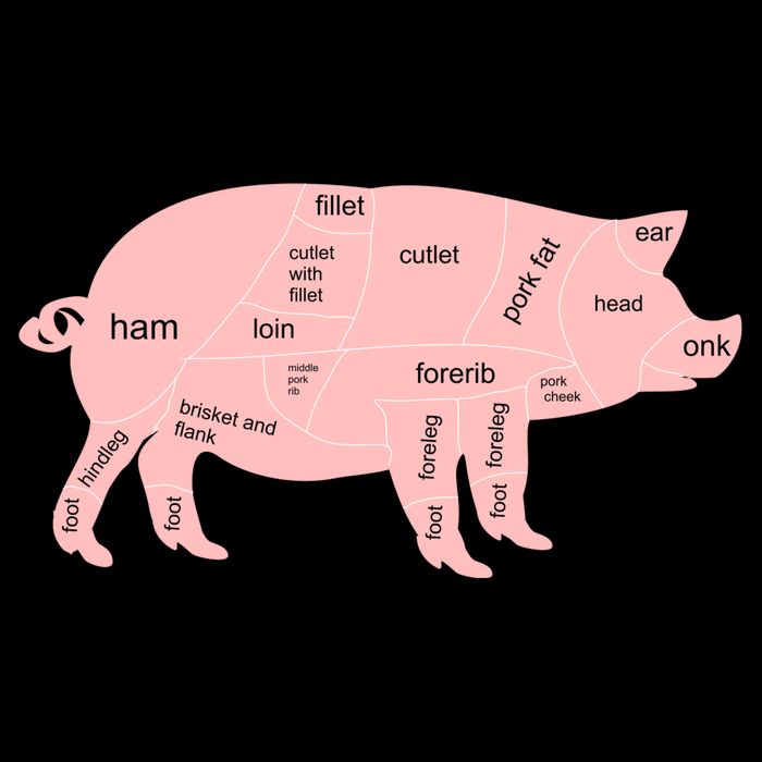 Pig Pork Bacon Chart Flatbill Hat