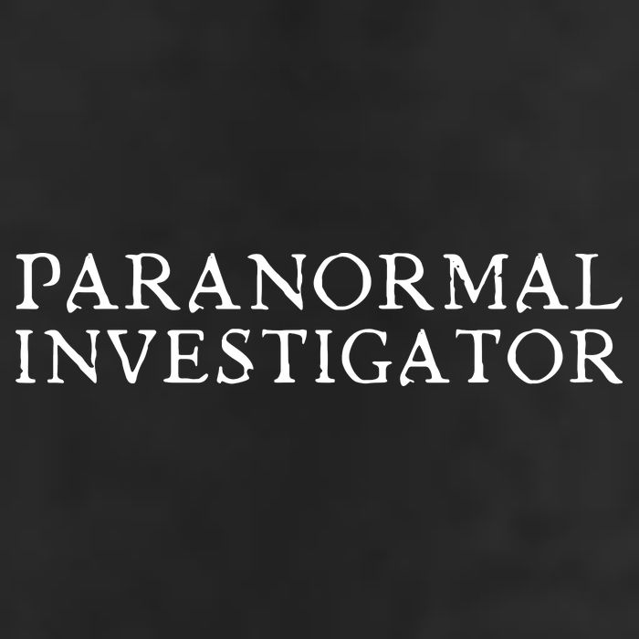 Paranormal Investigator Ghost Hunter Evp Halloween Premium Pullover Hoodie