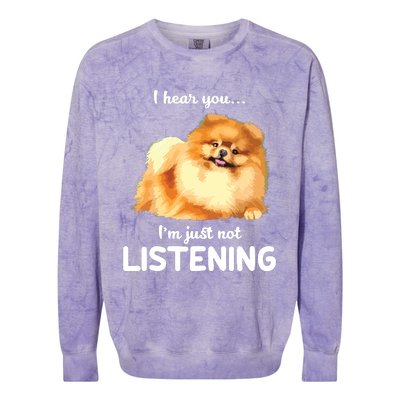 Pomeranian I Hear You Not Listening Colorblast Crewneck Sweatshirt