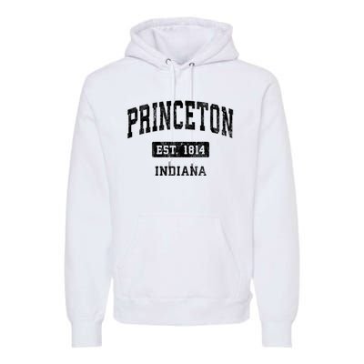 Princeton Indiana In Vintage Sports Established Premium Hoodie