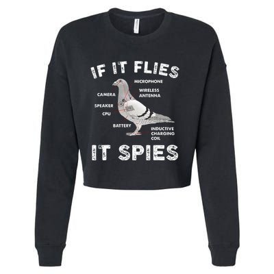 Pigeon If It Flies Spies Pigeon Anatomy Theory Bird Lover Cropped Pullover Crew