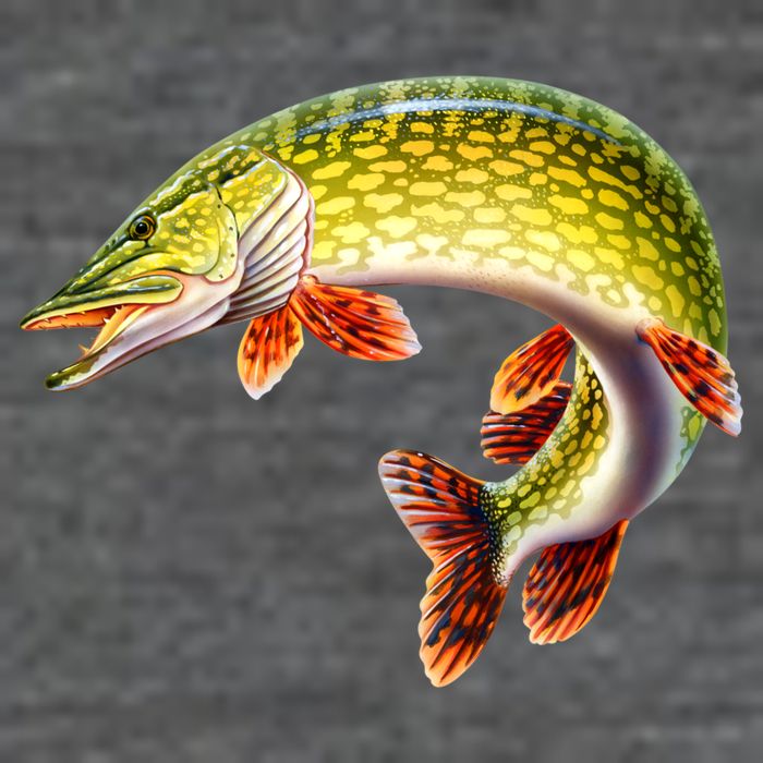 Pike T-Shirt