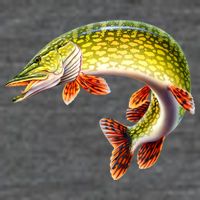Pike Baby Bodysuit