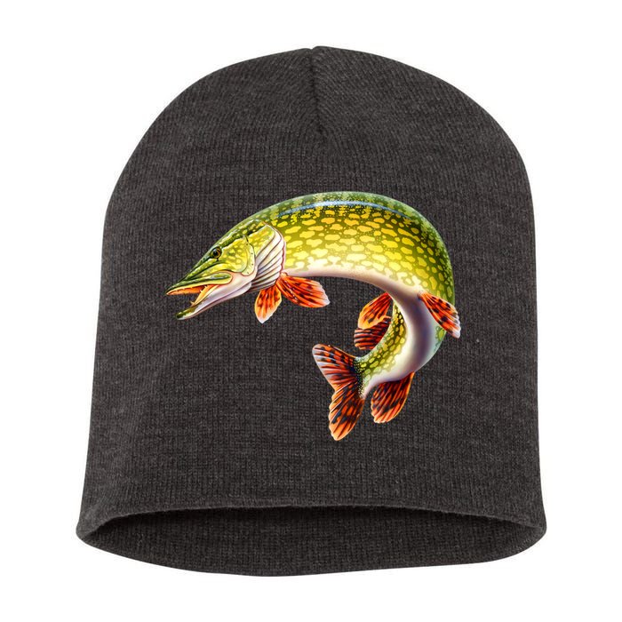 Pike Short Acrylic Beanie