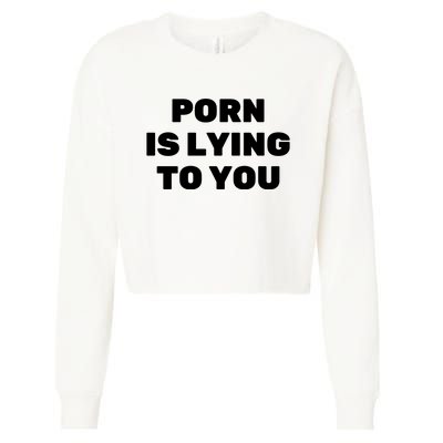 Porn Is Lying To You (Frontprint) Cropped Pullover Crew