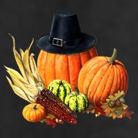 Pilgrim Thanksgiving Adult Drive Performance Visor