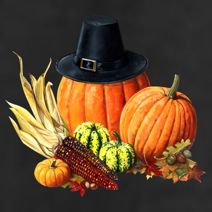 Pilgrim Thanksgiving Adult Drive Performance Visor