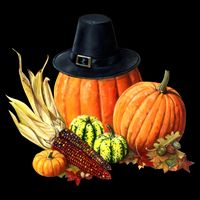 Pilgrim Thanksgiving 16 in Basic Backpack