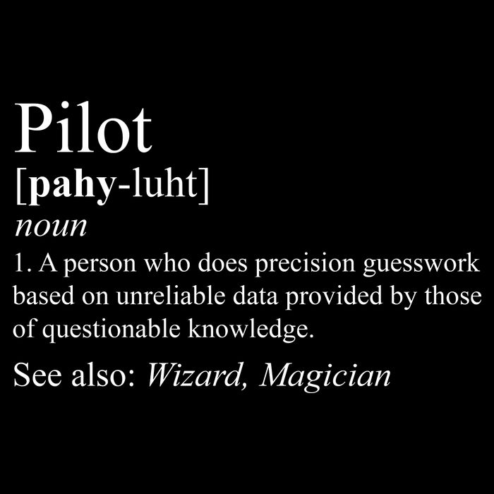 Pilot Definition Hoodie