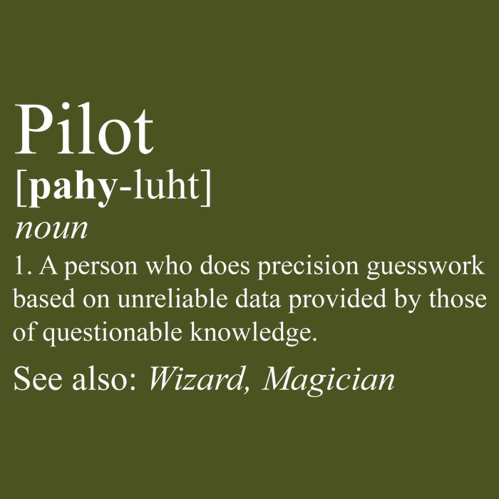 Pilot Definition Long Sleeve Shirt